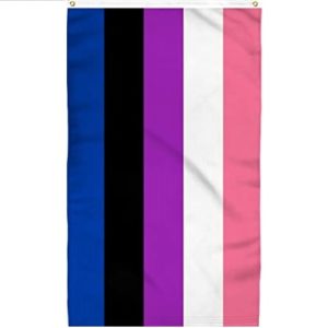 The genderfluid flag, which is a coral stripe at top, followed by a white stripe, then a purple stripe, then a black stripe, then a dark blue stripe
