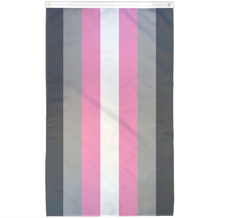 The demigirl flag. A center white stripe, sandwiched by two light pink stripes, then two light grey stripes, then two dark grey stripes.