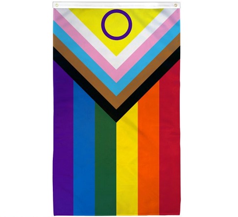 a rainbow flag with an inward-pointing triangle at one end, which consists of black, brown, and trans flag color stripes, and a yellow triangle with a purple circle for intersex inclusion.