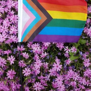 One small 4 by 6 inch progress pride flag on a stick, laying flat on some small, light purple flowers.