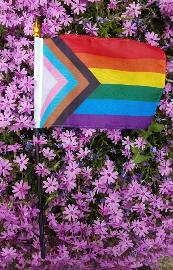 One small 4 by 6 inch progress pride flag on a stick, laying flat on some small, light purple flowers.