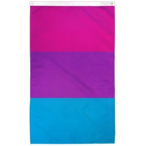 Androgyne flag. Three thick blocks of color: a dark pink, a dark purple, and a rich blue.
