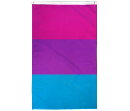 Androgyne flag. Three thick blocks of color: a dark pink, a dark purple, and a rich blue.