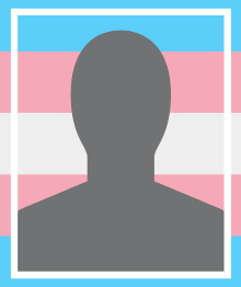 image of a human-shaped silhouette in front of a trans flag